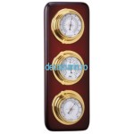 statie meteo 30.3729